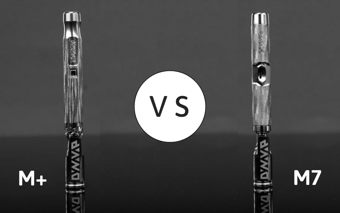 Dynavap M7 vs M Plus