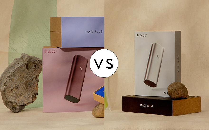 Pax Plus vs Pax Mini : une comparaison approfondie + des conseils ...