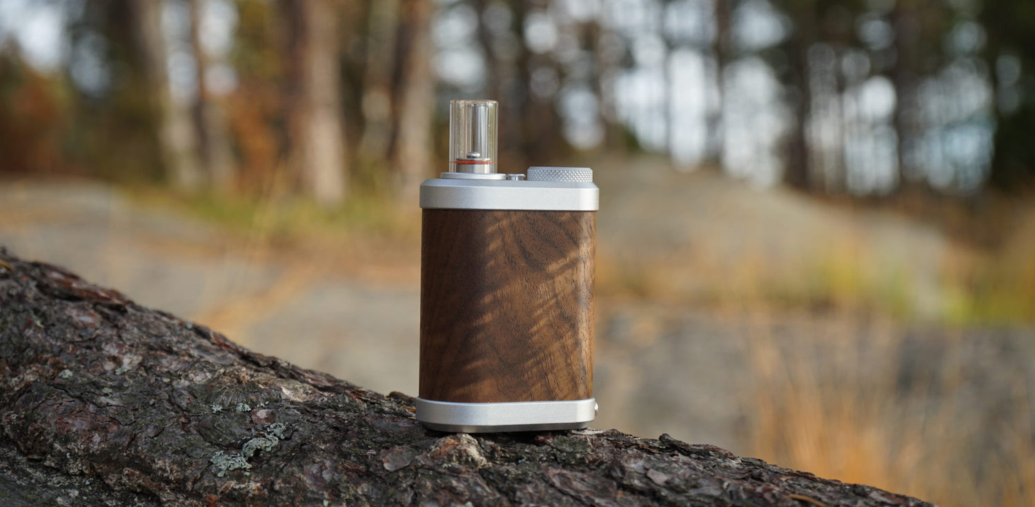 Meilleurs vaporisateurs à convection