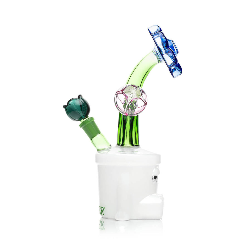 Hemper Bloom XL Bong Ireland