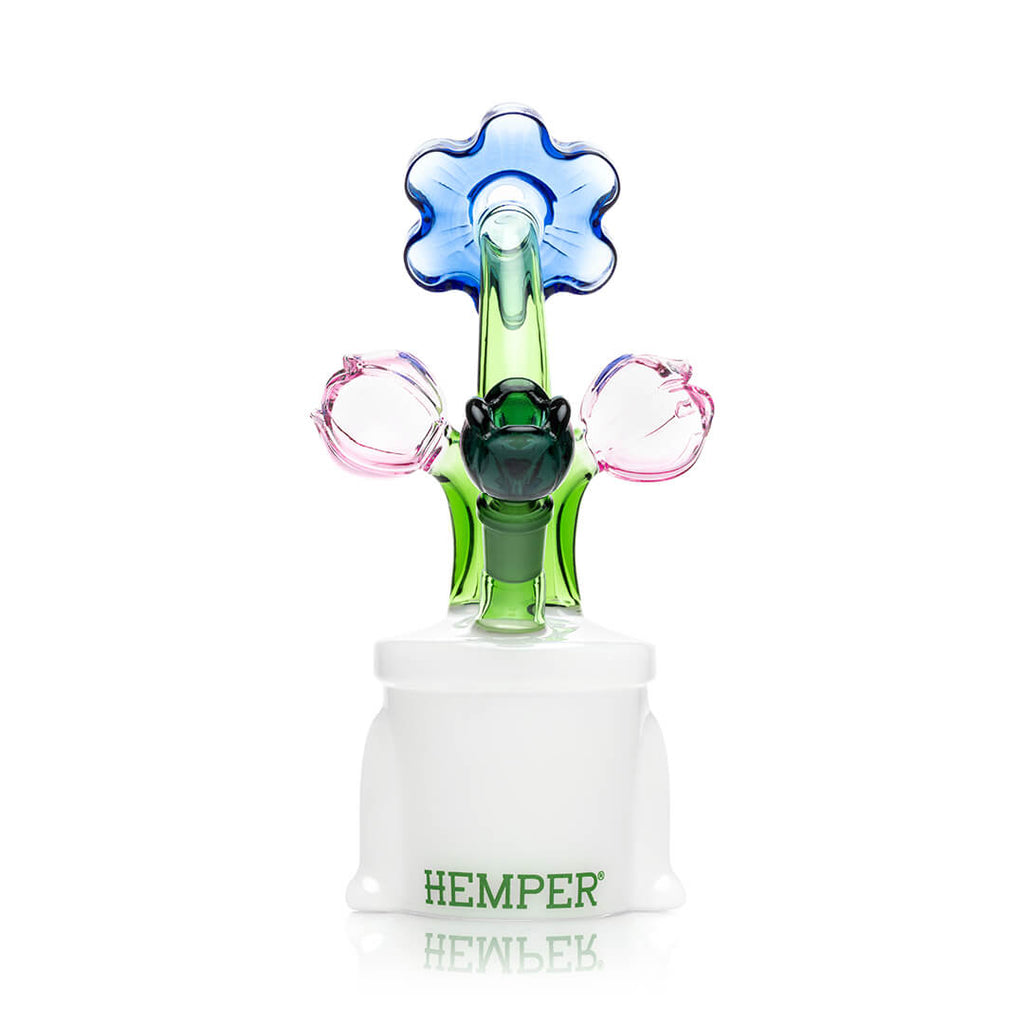 Hemper Bloom XL Bong Ireland