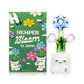 Hemper Bloom XL Bong with Box Ireland