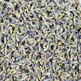 Organic Lavender