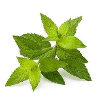 Organic Peppermint Leaves - 15g