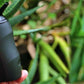 Vaporisateur Boundless Tera