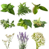 Herbal Package